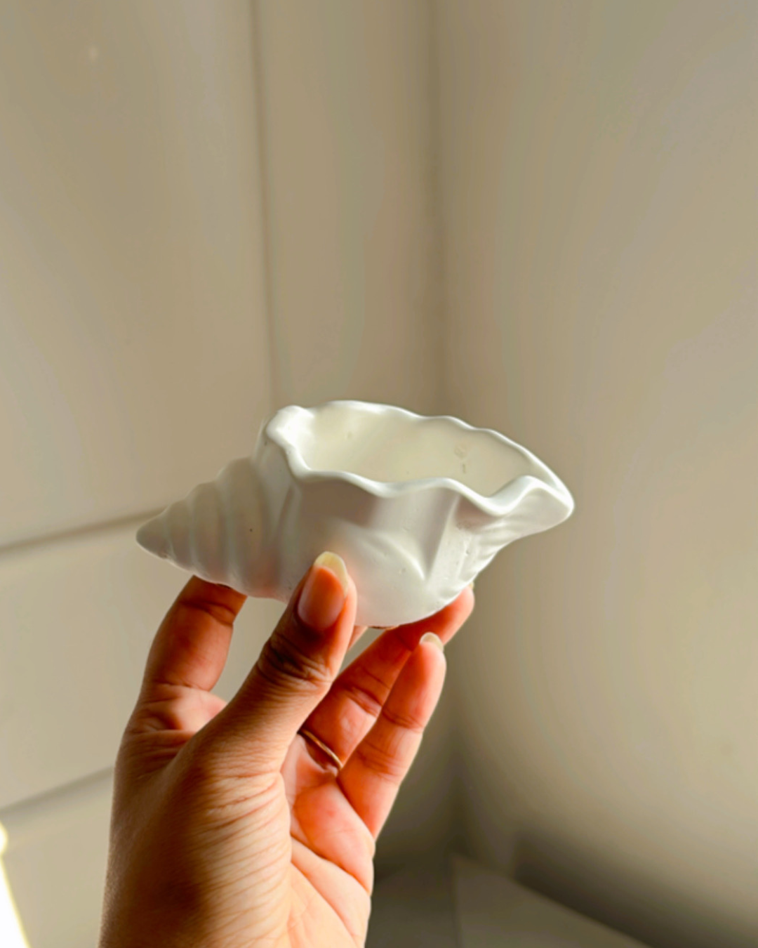 Small Shell Organizer