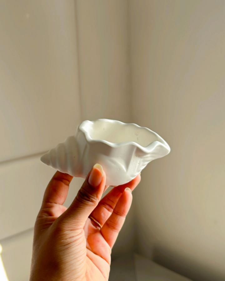 Small Shell Organizer